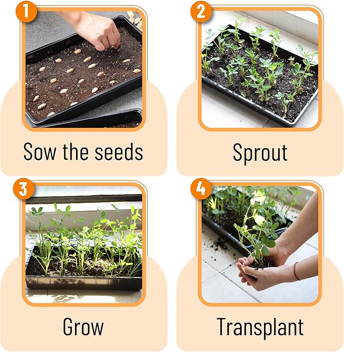 Mr. Pen- Seed Starter Trays, 5 Pack, 17"x10"x2.4" | Durable Plastic Growing Trays, Stackable and Reusable Seedling Starter Kits for Indoor, Outdoor, Greenhouse Gardening