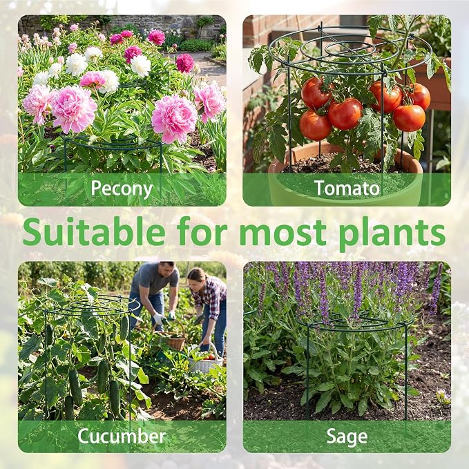 Pelopy Large Peony Cages and Supports 23.6"H x 15.7"D Heavy Duty Plant Support for Outdoor Plants, Meatl Peony Rings, Flower Support Stakes, Garden Stakes for Rose Tomato Hydrangea Strawberry(4 Pack)