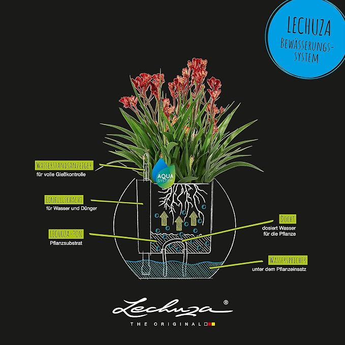 Lechuza Puro Color 20 Slate, Self-Watering Small Indoor Planter, D7.9 H6.3 in
