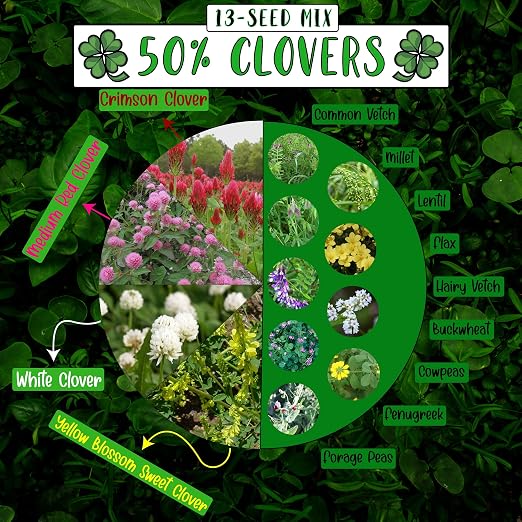 No-Till Cover Crop 13-Seed Mix: 50% Clovers Plus Fenugreek, Vetch, Flax, Cowpeas, Buckwheat, Forage Peas, Millet, Lentils (5-lb. Bag (Five Pound)