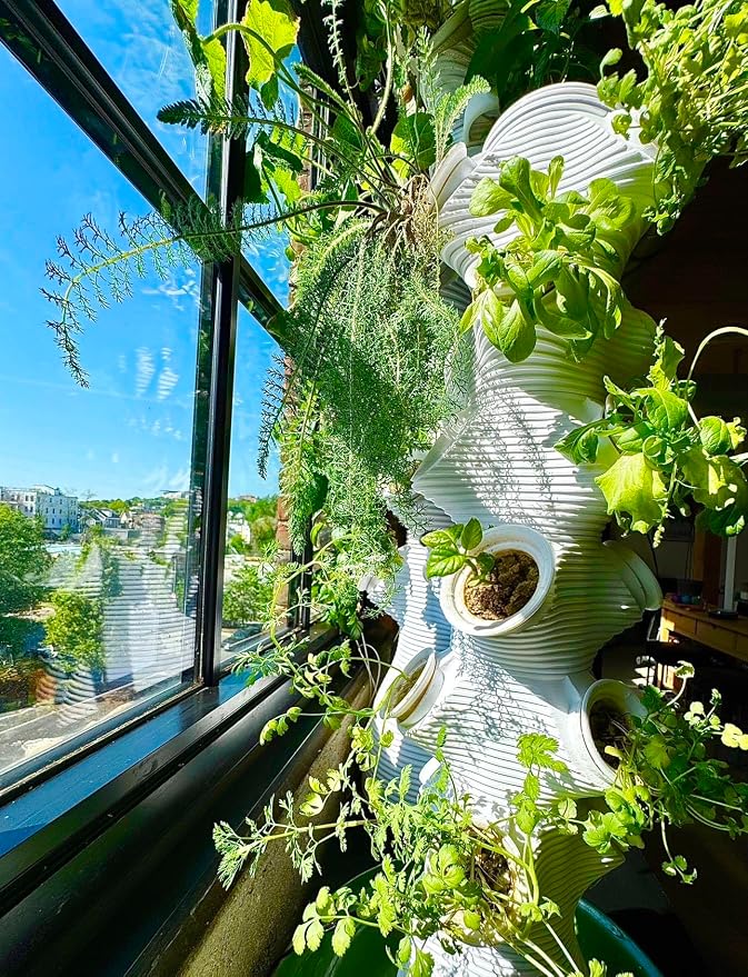 Indoor Desktop Hydroponics Tower System Growing Kit Perfect for Edible Flowers, Herbs, and Vegetables for Homes, Offices, Apartments, and Studios.