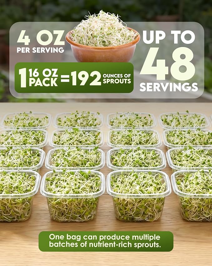 Nature Jims Sprouts Alfalfa Seeds – Non-GMO Organic Sprout for Growing & Planting – Premium Resealable Bag for Fresh Homegrown Sprouting Seeds – Rich in Nutrients, Vitamins, Fiber & Minerals – 16oz
