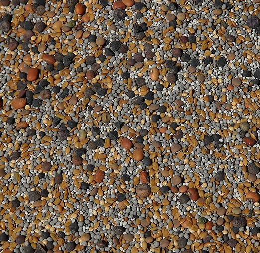 No-Till Cover Crop 13-Seed Mix: 50% Clovers Plus Fenugreek, Vetch, Flax, Cowpeas, Buckwheat, Forage Peas, Millet, Lentils (5-lb. Bag (Five Pound)