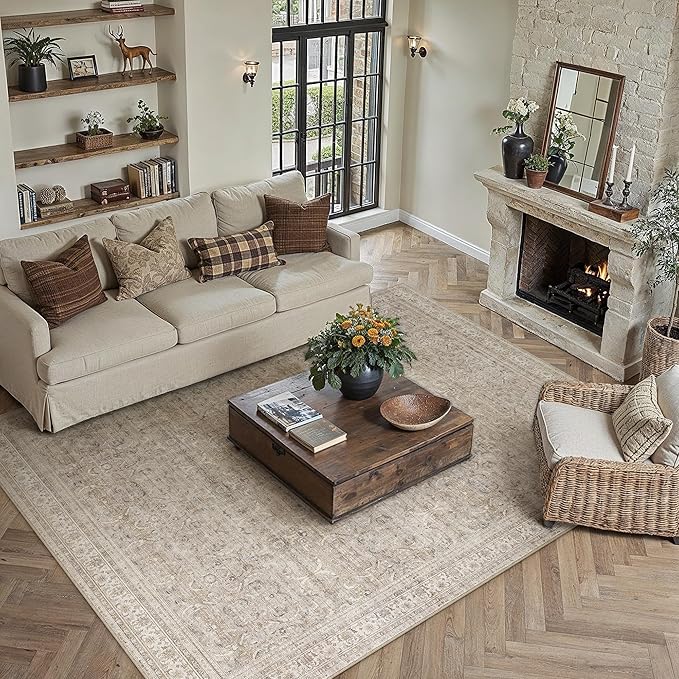 6x9 Beige Vintage Distressed Washable Area Rug for Living Room | Low Pile, Non Slip, Retro Style, Soft Distressed Indoor Rug for Living Room, Bedroom, Dining Room, Office, Home Decor