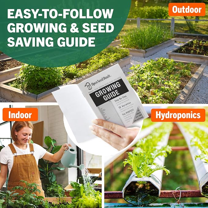 Vegetable & Fruit Seeds | 32 Individual Packs | 2026 Season | Non-GMO, High Yield - 15,000+ Seeds | Tomato, Cucumber, Zucchini, Bell Pepper and More | for Indoor & Outdoor Garden Planting