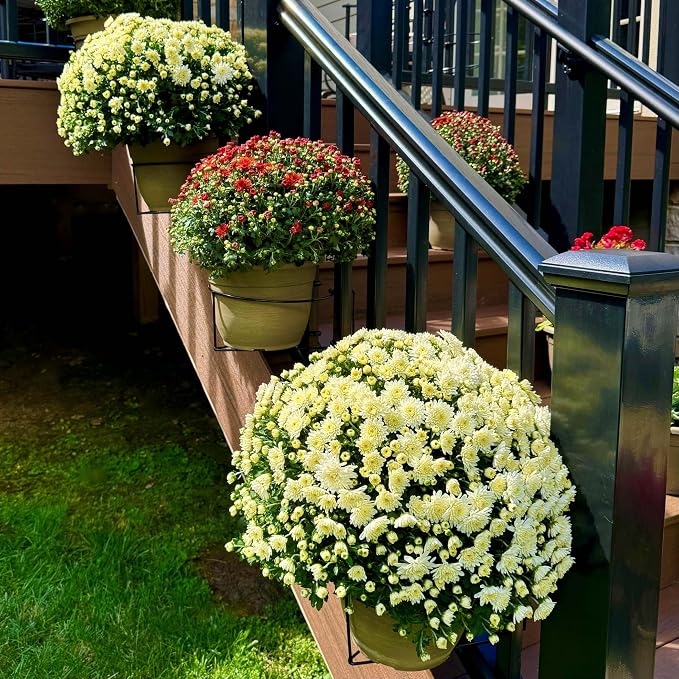 RailScapes Floating Railing Plant Clip for 1.25” - 1.5” Thick Spindle