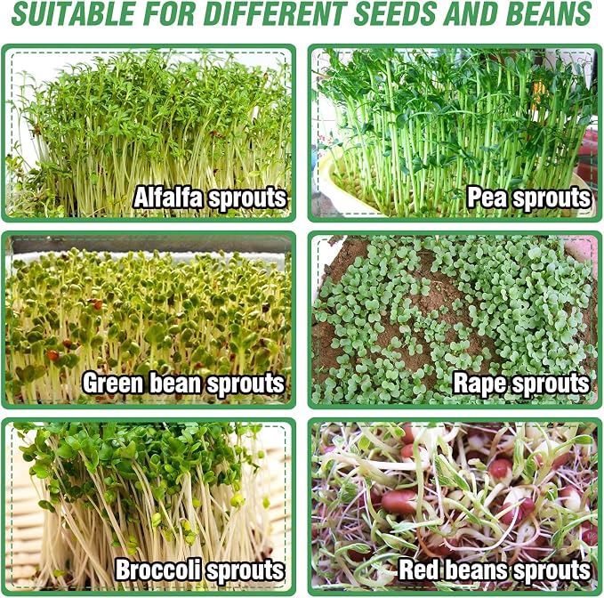 Aulock Stainless Steel Seed Sprouting Kit - 3-Tier Microgreens Growing Tray 7.9 in Dia, Stackable Round Sprouter Maker with Encrypted Mesh, Sprouts Grower for Beans Broccoli Alfalfa Seeds Wheat Grass