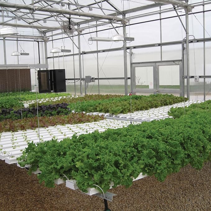 Hydroponic Salad Crop Production Guide