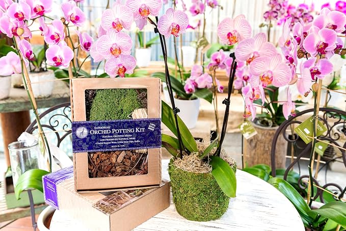 Super Moss (90510) Orchid Potting Kit, 8oz, Fresh Green, 200 in3 Box (Appx. 8oz)