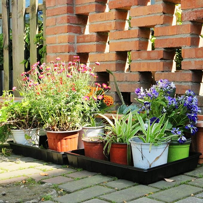 Gardzen 10 Pack Seed Trays, Reusable Plant Grow Trays, Ideal for Seed Starting, Microgreens, Indoor Gardening, and Greenhouse Plant Nurseries - No Drain Holes, 17.3" x 13"