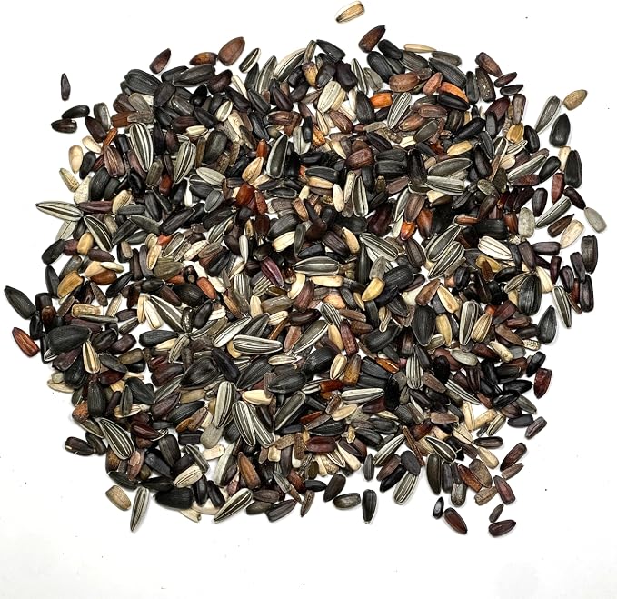 Seed Needs Sunflower Seeds to Plant Original Crazy Blend 1 Ounce Bulk Pack