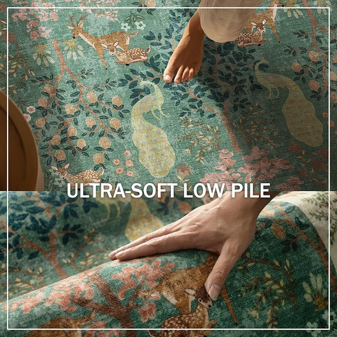 2x3 Washable Throw Rugs for Entryway: Small Area Rug Door Mat Indoor Entrance Non-Slip Low Pile Soft Kitchen Rug for Front Door Indoor Entrance Entry Bedroom Kids Room