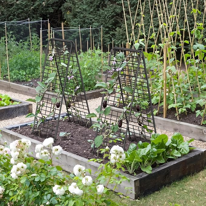 NANANARDOSO 2 Pack Cucumber Trellis, Heavy Duty A-Frame Trellis for Climbing Plants, Metal Garden Trellis Plant Support for Raised Beds, Tomato, Pea, Zucchini.