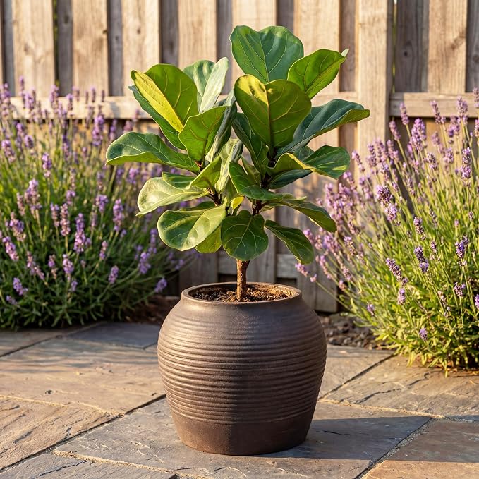 10" H x 12" Dia Vintage Black Fiberstone Planter Pot with Drainage Hole, Round Flower Pot for Indoor Outdoor Plants, Decorative Planter for Patio, Porch, Garden, Home Décor