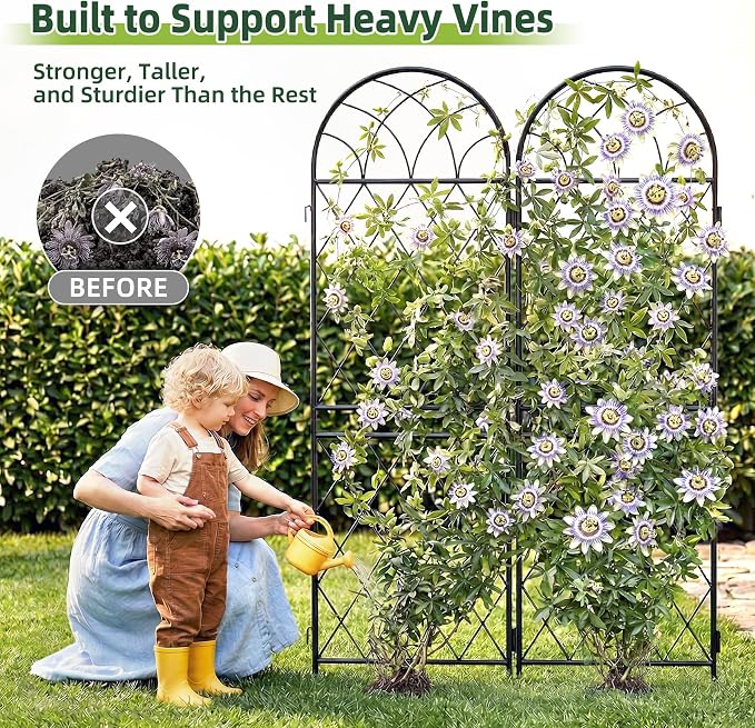2 Pack 70.8" X 19.7" Metal Garden Trellis for Climbing Plants Outdoor - Rustproof Heavy Duty Arched Trellis - Decorative Rose Plant Support Trellis for Roses,Vines,Vegetables,Flowers,Black