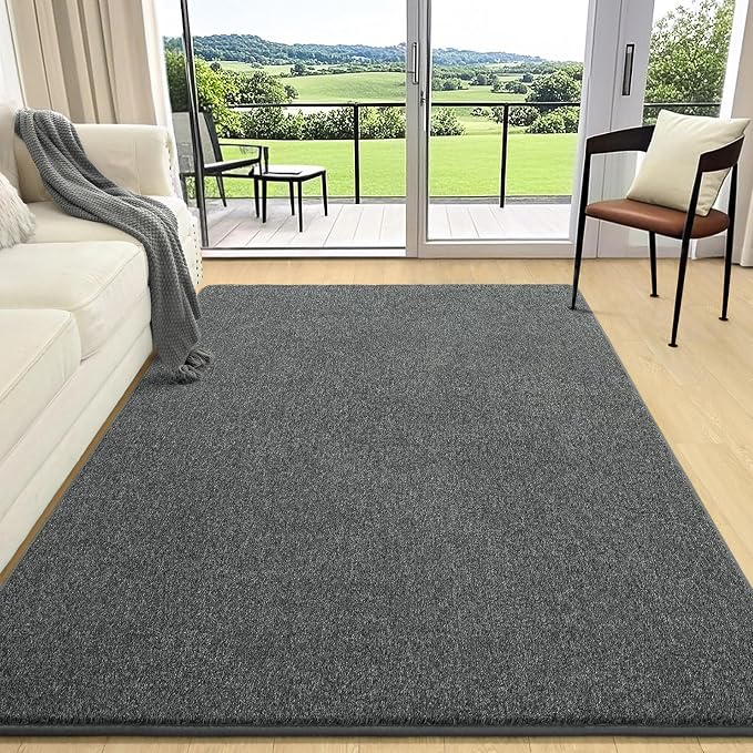AROGAN 5x7 Area Rugs for Living Room Non Slip Bedroom Rug, Black & White | Modern Area Rugs with Soft Memory Foam, Minimalist Washable Indoor Floor Carpet for Dorm Dining Room Office Kids Playroom