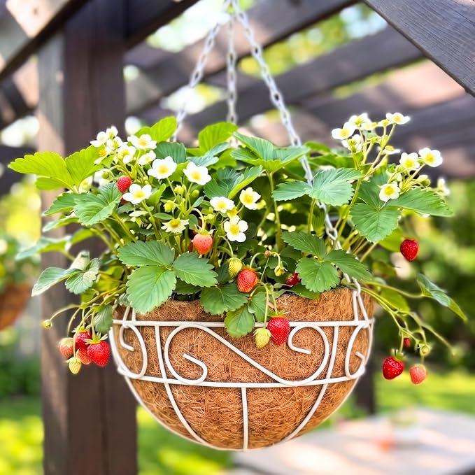 LaLaGreen Hanging Planter for Outdoor Plants (4 Pack, 14 Inch) White Hanging Baskets with Coco Liner, Metal Wire Flower Basket Pots with Hook Hanger Balcony Porch Farmhouse Country Style Garden Decor