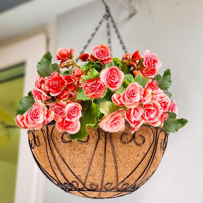 LaLaGreen Hanging Baskets for Plant Outdoor (20 Inch, 2 Pack) Large Black Metal Wire Round Flower Pot Hanging Planter with Coco Liner Holder Hanger Easy Install Modern Garden Balcony Country Decor