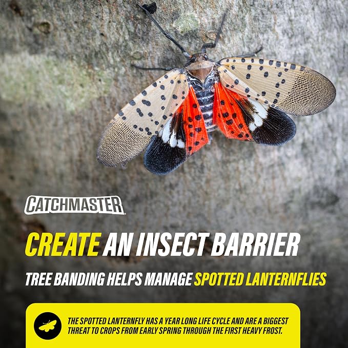 Catchmaster Tree Banding Insect Barrier 6Pk, 15oz Pails, Lanternfly & Ant Traps, Outdoor Adhesive Crawling Insect Trap to Protect Trees, Fruit & Plants