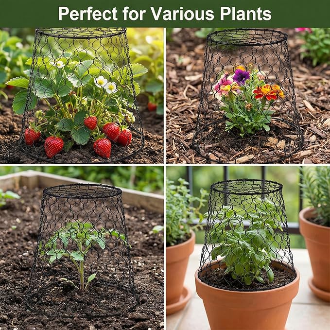 10 Pcs Seedling Plant Protectors from Animals, Chicken Wire Plant Cage Garden Cloche to Protect Plants Vegetables from Rabbits Squirrels Chicken – 9'' x 9”