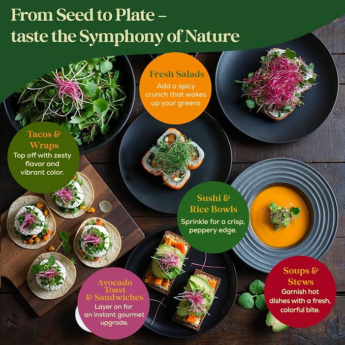 Seedphony Radish Sprouting & Microgreens Seeds - 50,000 Non-GMO Heirloom Seed, 1lb Resealable Bag - High-Germination Radish Seeds for Sprouting in Jars, Soil, Hydroponics & Microgreen Trays