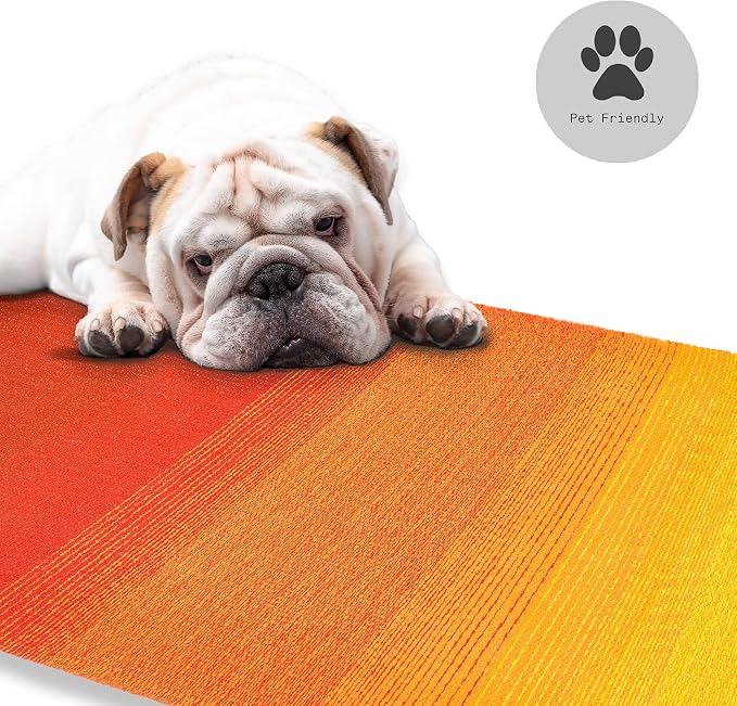 Fab Habitat Outdoor Rug - Waterproof, Fade Resistant, Crease-Free - Premium Recycled Plastic - Ombre - Patio, Deck, Porch, Balcony, Laundry Room - Big Sur - Sunset - 4 x 6 ft