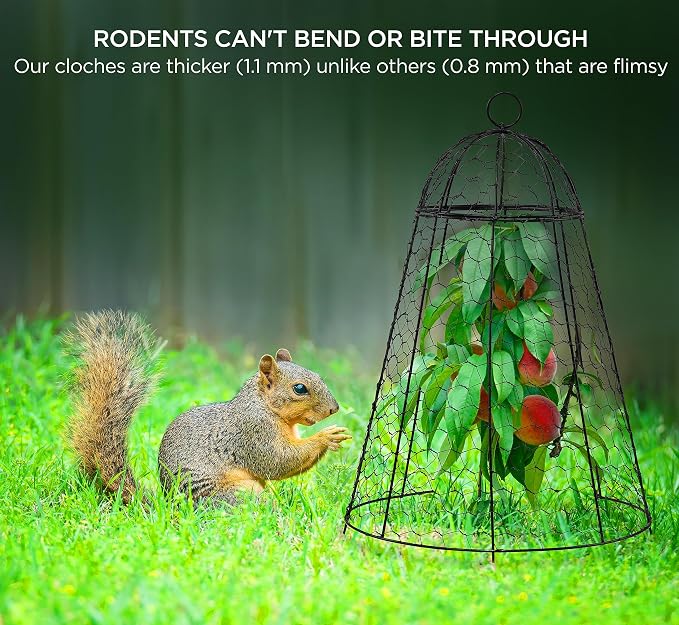 boldworks Garden Cloches for Plants Chicken Wire Cages to Protect from Animals Outdoor Extra Large Rustproof Thicker and Finer Mesh 12" x 20" Pack of 6
