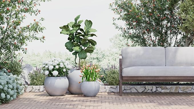 DTY Premium Mt Sherman Fiberstone Sphere Planter for Indoor Outdoor Use, Round Pot for Olive Tree, Lightweight, Smooth Finishes. 2 Extra Coco Mats. Gray, Large 21.1'' D x 16.7'' H. 14.6” Pot Opening