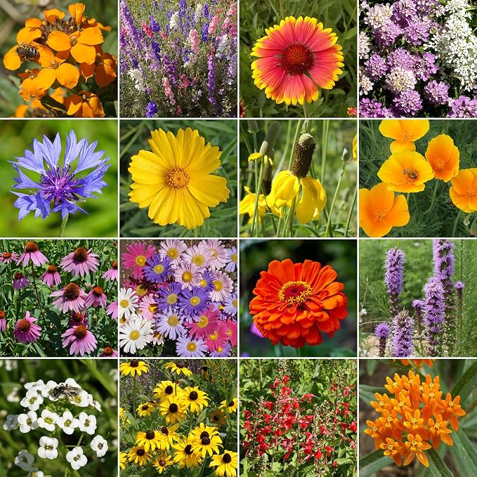 Ferry-Morse Wildflower Seeds - Pollinator & Butterfly Mix, Non-GMO, Native Pollinator Mix - 1 lb