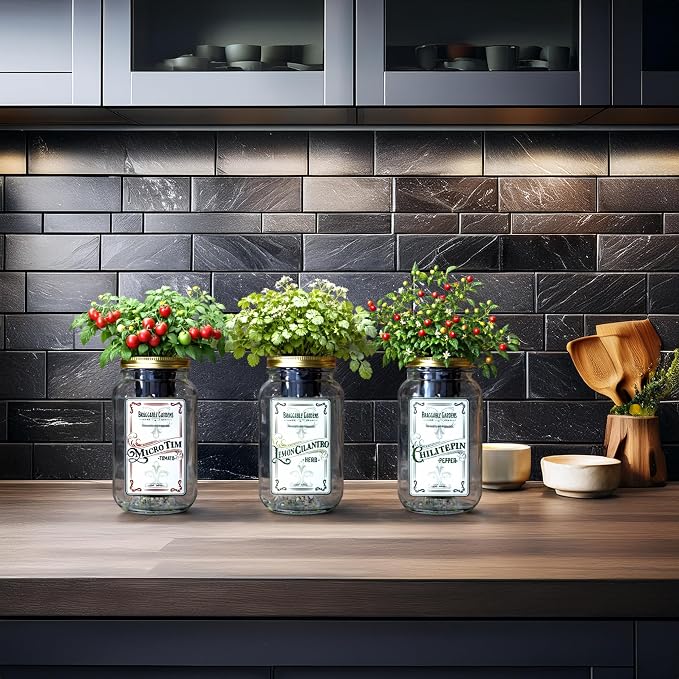 Salsa Garden Mason Jar Grow Kit (3 Pack) – Tiny Tim Tomato, Lemon Cilantro & Chiltepin Pepper – Indoor Hydroponic Herb & Vegetable Grow Kit – Windowsill Salsa Ingredient Garden