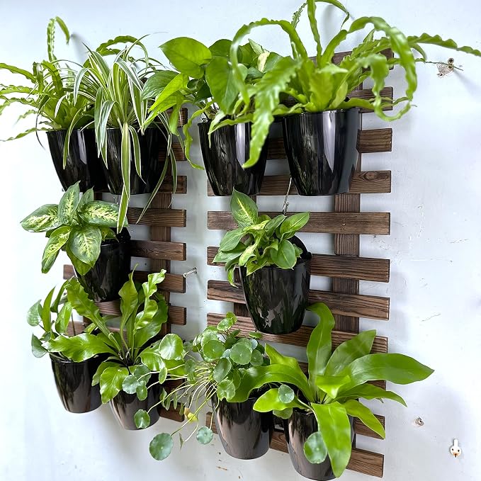 LaLaGreen Wall Planters for Indoor Plants - 10 Pack, 4 Inch Black Self Watering Pots Modern Indoor Hydroponic Vertical Live Garden Wall Mounted Hanging Plant Holder