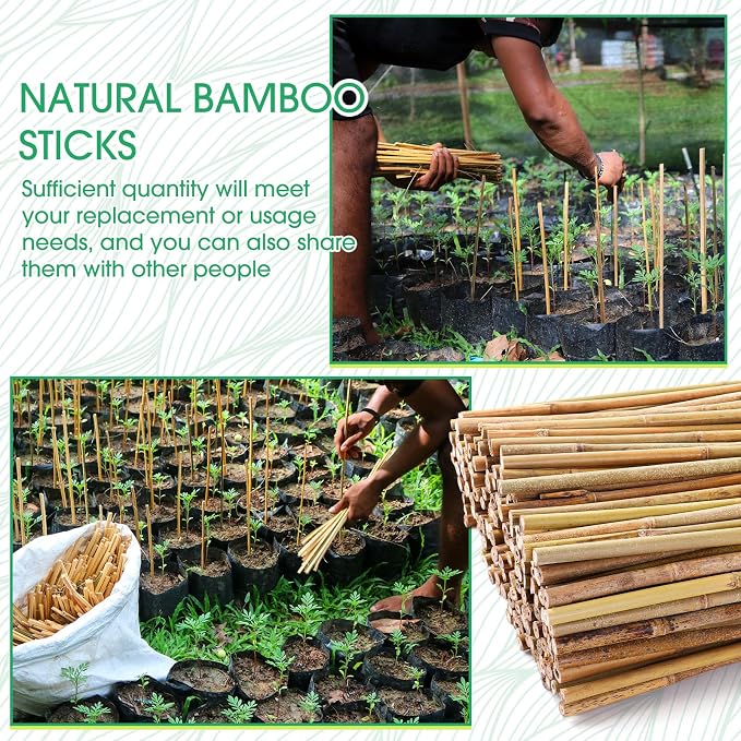 Suclain 300 Pcs Bamboo Plant Stakes Natural Garden Support Sticks for Climbing Plants Sturdy Bamboo Garden Stakes for Tomato, Beans, Flowers and Potted Plants, Vegetables, Indoor & Outdoor (2 ft)