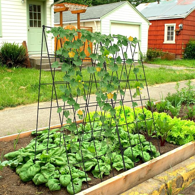 Cucumber Trellis 2 Pack, Foldable A-Frame Garden Trellis for Raised Bed Garden Grow Support with Plant Support Clips, Twist Ties, Plastic Ties, for Cucumber,Tomato, Climbing Plants and Flowers