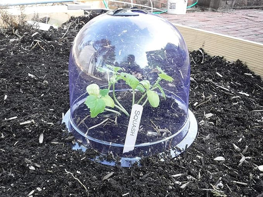 6-Pack! GrowAway Medium Reusable Plastic Mini Greenhouse, Cloche Dome, Plant Covers for Frost Guard Freeze Protection Outdoors, Garden Tools and Accessories - 10.24"Diam. x 7.48"H