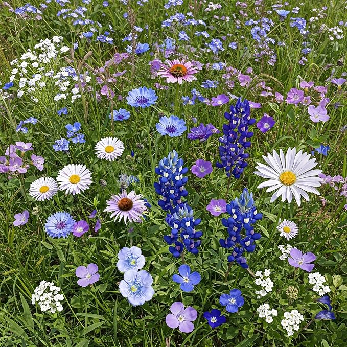 Ferry-Morse Wildflower Seeds - Cool Colors Mix, Non-GMO, Wild Flowers - 1 lb - Other