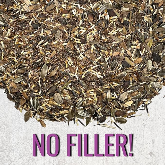 Seed Needs Garden Flower Seeds Large Blooms Mix 1 Ounce Heirloom Bulk Pack