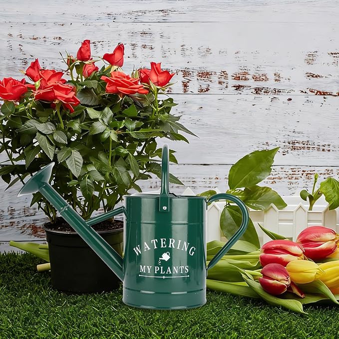 Garutom Galvanized Watering Can for Outdoor Indoor Plants, 1 Gallon Decorative Countryside Water Can with Removable Spout, Metal Watering Can for Indoor Plants and Garden Flower (Green)