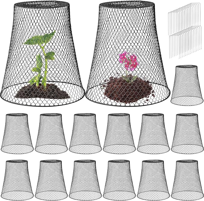 Therwen 15 Pcs Large Plant Wire Cloche 11 x 12 Inch Metal Garden Cloche with Garden Stakes Plant Protector from Animals for Keeping Bunnies Chicken Squirrels Birds (Black)