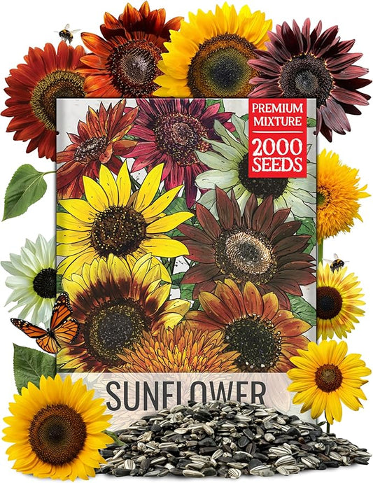 Seed Needs Sunflower Seeds to Plant Original Crazy Blend 2 Ounce Bulk Pack