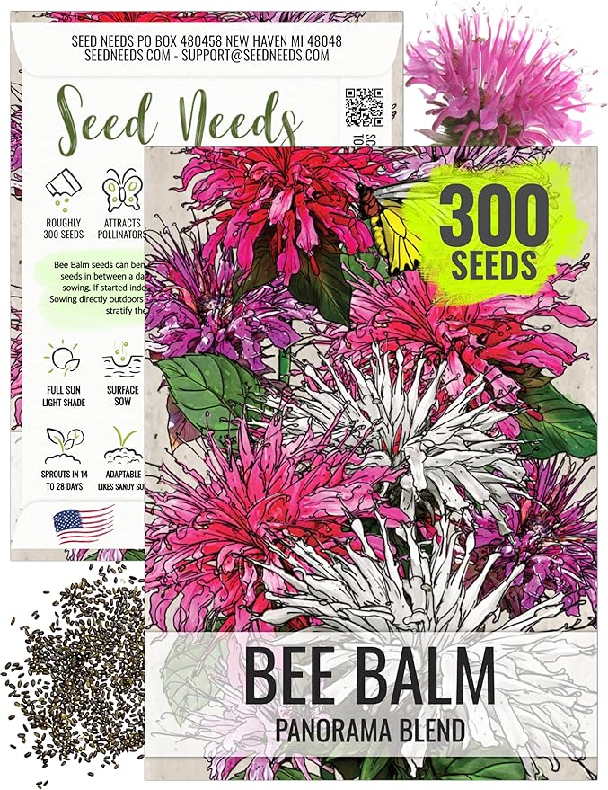 Seed Needs Bee Balm Seeds to Plant Panorama Mix Perennial Flowers 1 Pack