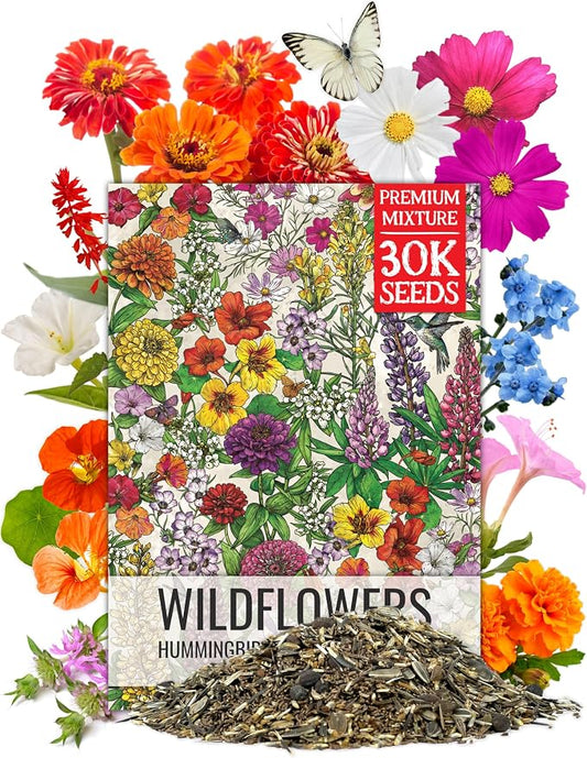 Seed Needs Wildflower Seeds Butterfly and Hummingbird Mix 2 Ounce Bulk Pack