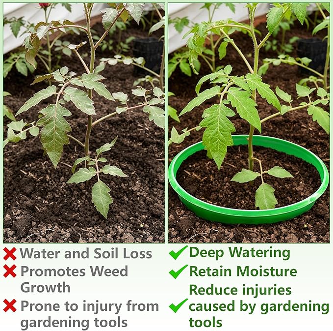 EBaokuup 6 Pcs 10 Inch Planting Grow Rings-Planting Protective Round Edging to Separate Rock and Pest-Planting Rings for Vegetables, Herbs and Flowers
