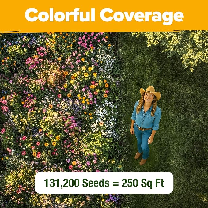 HOME GROWN Texas Wildflower Seeds Bulk Mix | 131,200+ Pure USA Grown Perennial Flower Seed for Planting | 22 Varieties for Birds & Butterflies Garden | 3 oz