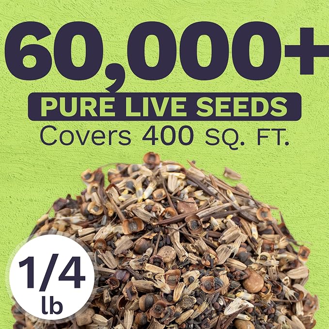 Texas Oklahoma Wildflower Seeds Mixture - Bulk 1/4 Pound Bag - Over 60,000 Native Seeds - Open Pollinated and Non GMO