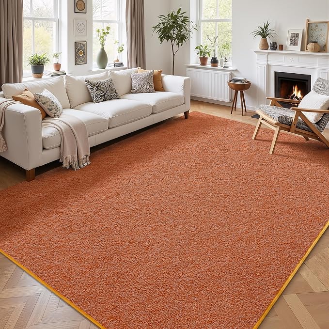 AROGAN 5x7 Area Rugs for Living Room Non Slip Dorm Bedroom Rug, Orange | Modern Area Rugs with Soft Memory Foam, Minimalist Washable Indoor Floor Carpet for Dining Room Office Kids Playroom Decor