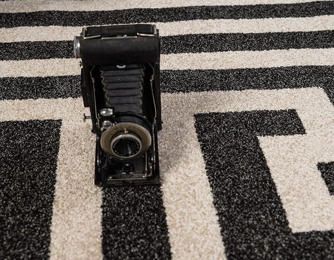 Unique Loom Athens Collection Classic Geometric Modern Border Design Area Rug (9' 0 x 12' 0 Rectangular, Black/ Beige)