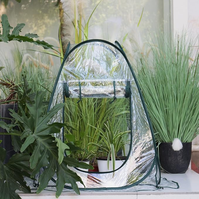 Gardzen 27"x27"x31" Pop up Grow Tent Small Greenhouse, Steel Frame Portable Plant Flowers Mini Green House Zipper Cover for Outdoor & Indoor Use