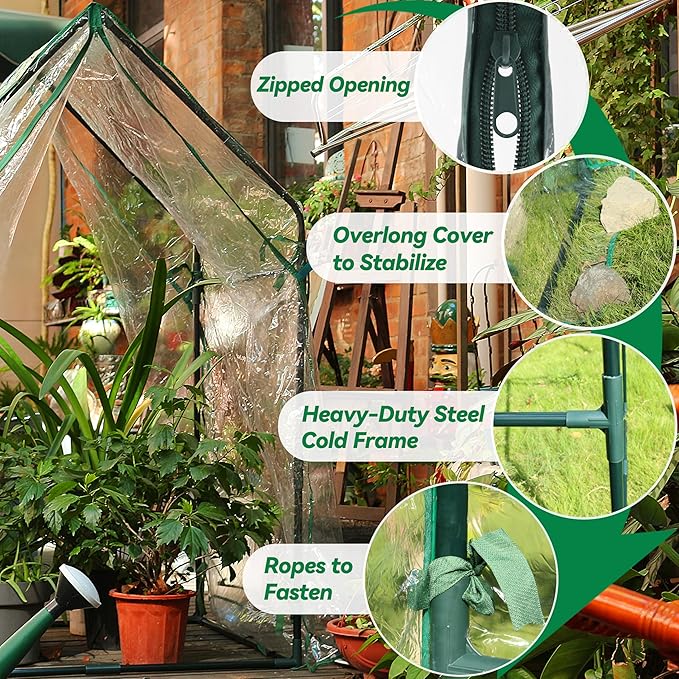 Gardzen Mini Greenhouse with Waterproof Bottom, Portable Green House with Strong Metal Frame, Small Green House with Zipper Door for Outside and Inside Use, 36.2"(L) x36.2(W) x59.5(H)