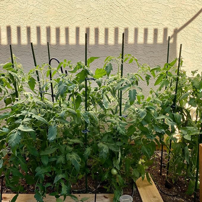 25 Pack Garden Stakes 4FT (48 Inch), Heavy Duty Steel Tomato Stakes with Plastic Coating, Plant Support Stakes for Outdoor Climbing Plants, Vegetables, Beans, Potted Plants & Garden Use
