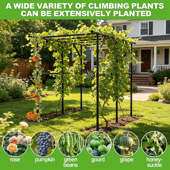 BUKLIYN Garden Arch - Grape Vine Trellis Size: 94.5 * 59.1 * 76.0 Inches, Plant Support Frame for Grape Fruits, Cucumbers, Peas, Beans and Pumpkins（Max Leg spacing 79"）